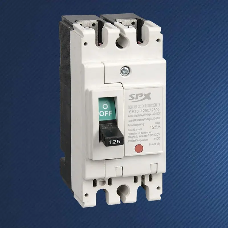2P 125A 성형 케이스 회로 차단기